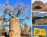 Low-Cost Small Group Tour  Andasibe + RN7 - 13 days